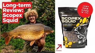 Long-term carp bait review: Nashbait's Scopex Squid