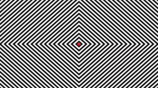 INSANE OPTICAL ILLUSION