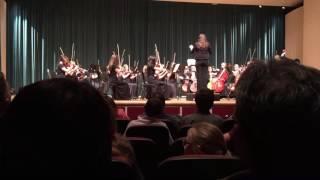 Skyview concert orchestra