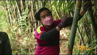 Buloh - Masakan Brunei | Trek Kuali