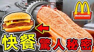 全世界最離譜的10個快餐秘密！麥當勞雞塊如何生產？第一名销量提升100倍，卻沒人敢吃。|#世界之最top #世界之最 #出類拔萃 #腦洞大開 #top10 #快餐秘密 #麥當勞