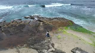 Surprise proposal in La Jolla California