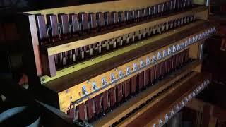 The restored Xylophone on the World's largest pipe organ