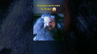 Hagrid Says the N Word  #harrypotter #parody #funny