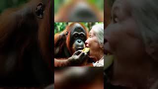 Love exists everywhere p2 #nature #animals #explore #funny #mrpis88 #life  #happy #love #orangutan