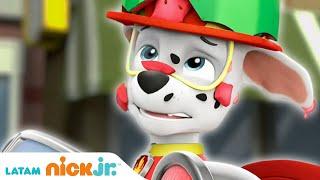 Paw Patrol | Hora de la carrera | Nick Jr.