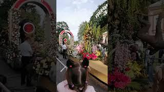 Комозиция"Ленинградский зоопарк️