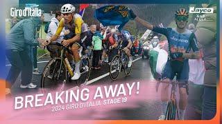 GIRO D'ITALIA 2024 - Stage 19 | Team Jayco AlUla