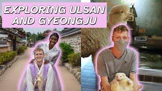 Exploring Gyeongju and Ulsan | Hanbok Photoshoot, Indoor Zoo, Historic Landmarks