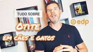 60 | SINTOMAS, CAUSAS E COMO TRATAR A OTITE ( DOR DE OUVIDO) EM CACHORRO E GATO