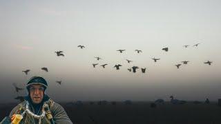 Foggy Field DUCK HUNT In Canada! (CRAZY)