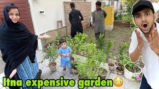 Finally garden bangaya hamara | Gardner ne hame loot liya 30,000 ka banaya