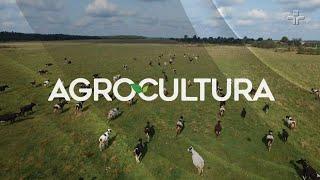 Agrocultura | 16/10/2022