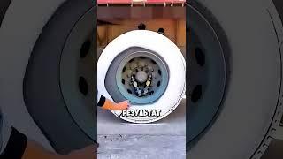Средство которое вычистит любую поверхность