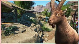 Alpine Ibex Habitat | Sequora Zoo | Planet Zoo Speed Build