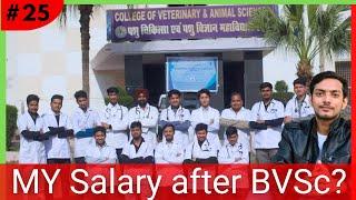 My First JOB and SALARY after Veterinary degree.  How much a newbie Dr. earn?