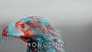 Monolink - The Prey (Mind Against Remix)