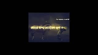 Mizanur Rahman Azhari Status | Whatsapp Status | Islamic Gojol | Gojol | Bangla গজল #viral #shorts