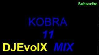 DJEvoIX - Kobra11 Týmová Spolupráce DUBSTEP MIX [320kb/s]