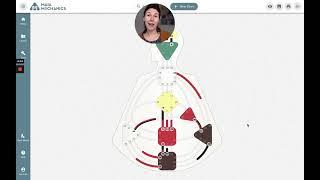 The 4 motor centers in Human Design