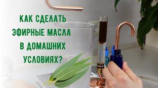Как сделать эфирное масло в домашних условиях - дистилляция эфирного масла эвкалипта