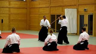 Aikido Budokan Wels - Aikidovorführung (Embu) bei Family & Friends 2019