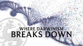 Where Darwinism Breaks Down - with Stephen Meyer