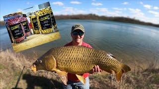 Spring Carp Fishing w/ New Baits - PB SMASHED! (2021)