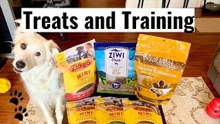 Best Treats to Use to Train Your Dog