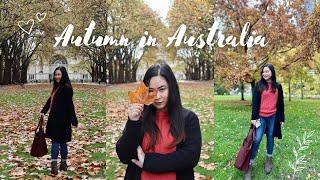 Autumn in Australia | Filipino Life in Melbourne