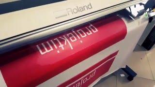 Printing & Cut  Roland