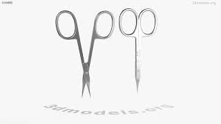 Cuticle Scissors 3D model by 3DModels.org