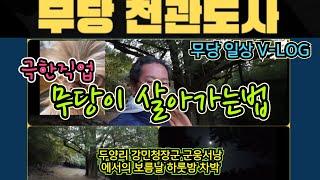 극한직업 - 무당들이 살아가는법! 무당의 일상 V-LOG~! 무당 천관도사의 진면목이 밝혀집니다! 동료 무당들의 극한의 노력과 눈물겨운 고생들을 기리며 #무당 #무당의삶 #극한직업