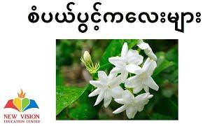 Grade 1 ပထမတန်း  မြန်မာဖတ်စာ ကဗျာများ Music & Songs_စံပယ်ပွင့်ကလေးများ၊ ဆန်းသစ်စ လ၊ ပြေးပွဲပြိုင်ပွဲ