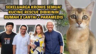 KELUARGA KRONIS! KUCING RESCUE DIBIKININ RUMAH GEDONG PLUS PARAMEDIS 24 JAM