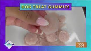 Easy fruit dog treat gummies recipe