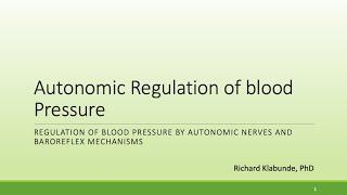 Autonomic Control of Blood Pressure