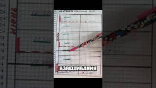 заполняем дневник похудения правильно #здоровье #психология #похудение #похудеть #похудетьнавсегда