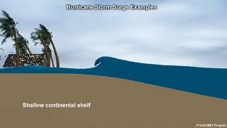 Hurricane Storm Surge Examples