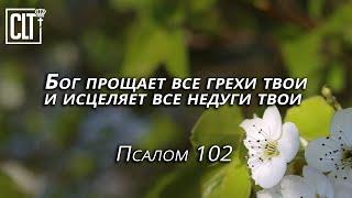 Бог прощает и исцеляет тебя | Псалом 102 | Библия