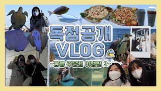 [독점공개 VLOG] 강릉•주문진 여행 두 번째 이야기! | 강릉 경포 아쿠아리움 | 강릉 숨은 맛집 | 강릉 바다뷰 카페️