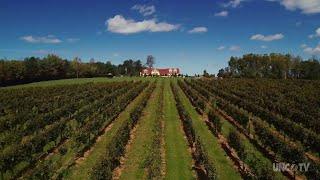 Herrera Vineyards | NC Weekend | UNC-TV