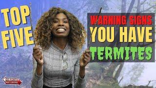 Top 5 Warning Signs You Might Have Termites! // Pest Control