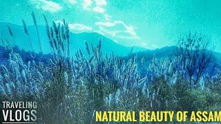 Travelling Vlogs | Natural Beauty Of Assam | Armaan Hasib | Orginal Footage