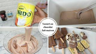 YAOURT AU CHOCOLAT  | UNE RECETTE A TESTER| Shalou Cuisine