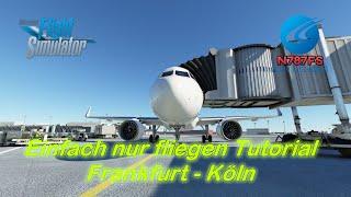 Flight Sim 2020 - Einfach nur fliegen Tutorial