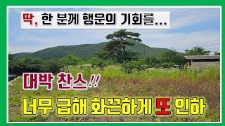 밀양 토지 매매- 매물1,153번(대박 찬스!!  딱 한 분께 드리는 행운의 기회.  너무 급해 화끈하게 또 인하)