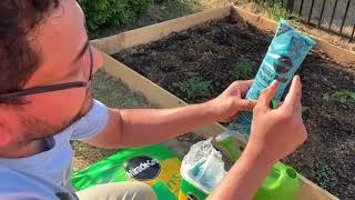 How to use Miracle Grow All Purpose Plant Food in the garden