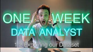 Become a Data Analyst in ONE WEEK (1.2 Excel Basics | Exploring Our Dataset)