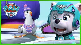 Pups Save the Marooned Mayors - PAW Patrol UK - Cartoons for Kids